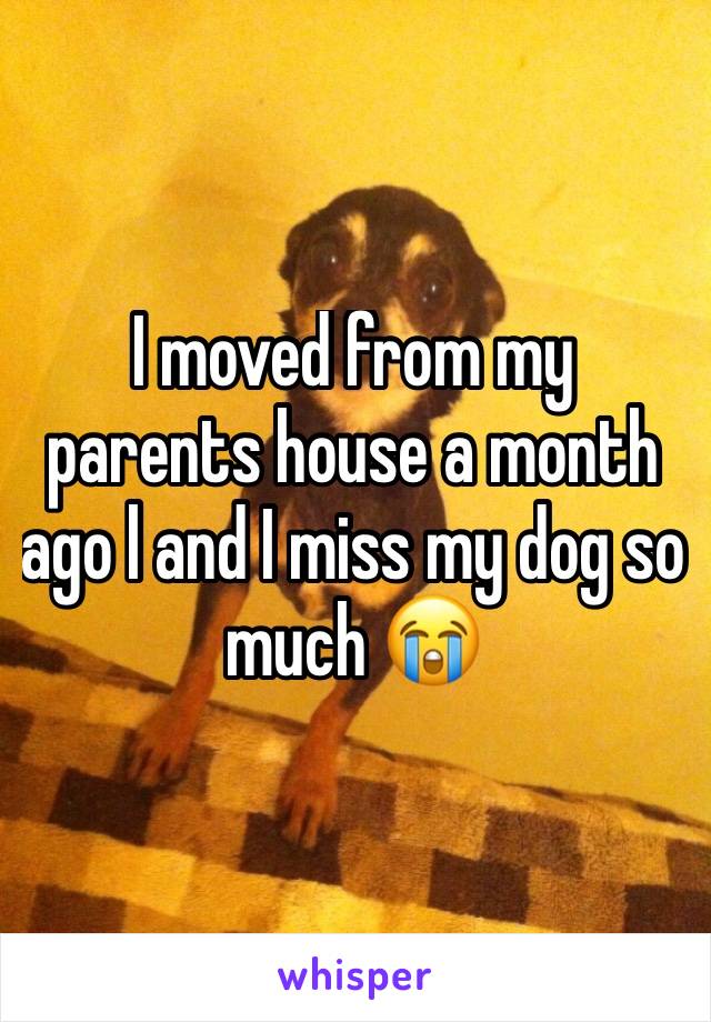 I moved from my parents house a month ago l and I miss my dog so much 😭