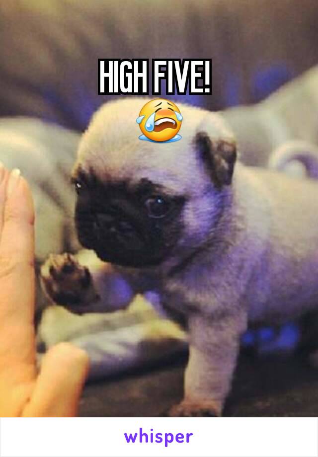 HIGH FIVE! 
😭