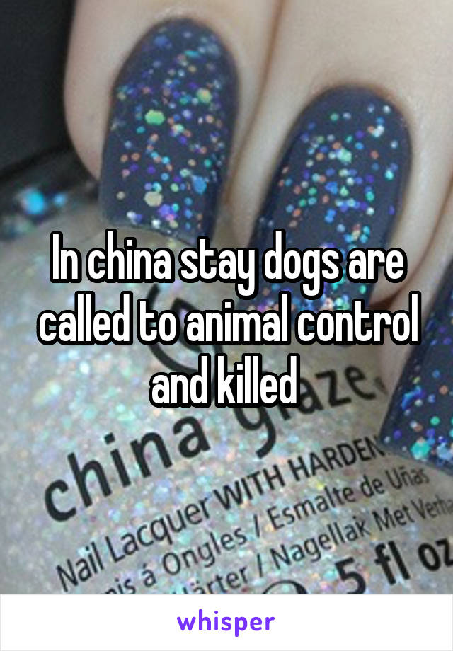 In china stay dogs are called to animal control and killed 