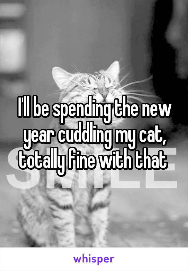 I'll be spending the new year cuddling my cat, totally fine with that 