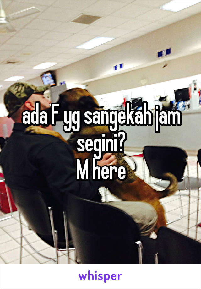 ada F yg sangekah jam segini?
M here