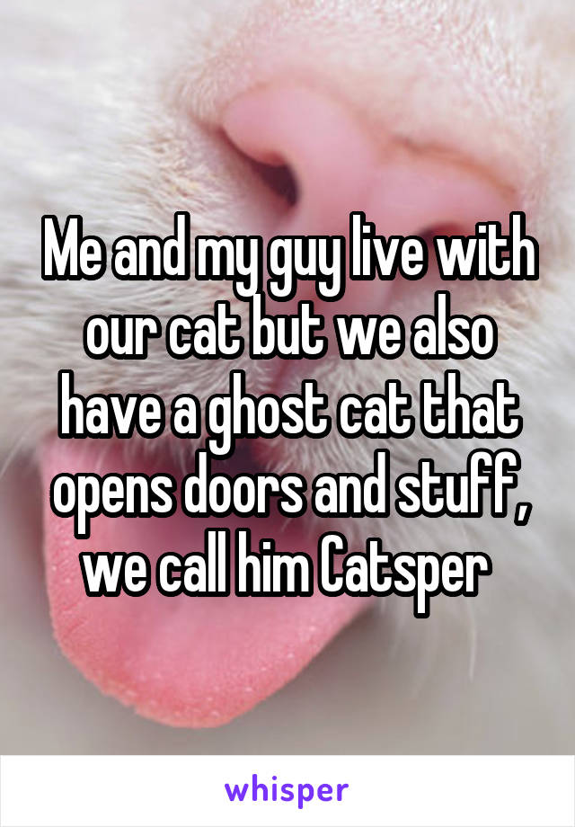 Me and my guy live with our cat but we also have a ghost cat that opens doors and stuff, we call him Catsper 