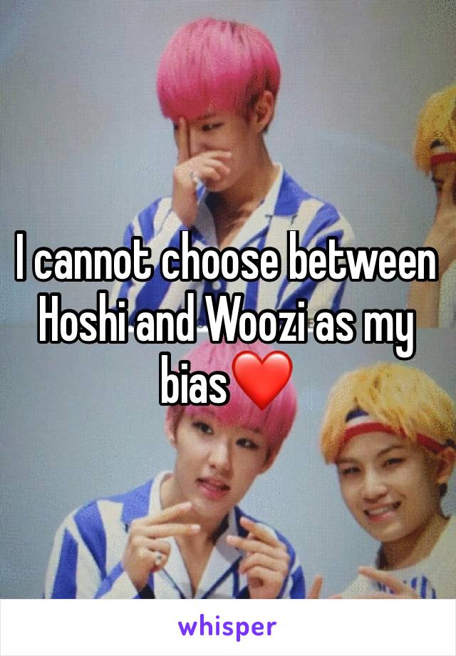 I cannot choose between Hoshi and Woozi as my bias❤