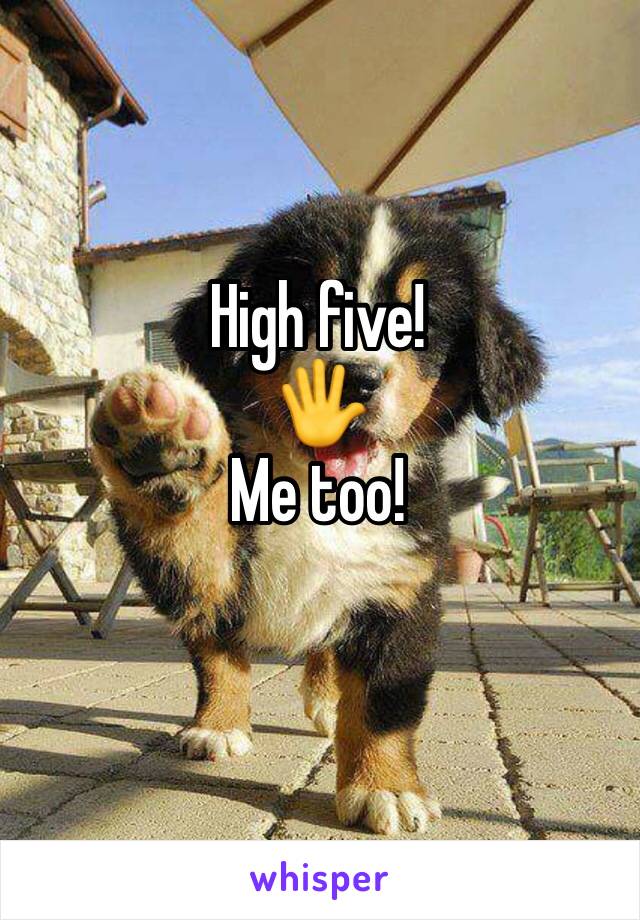 High five! 
🖐
Me too!
