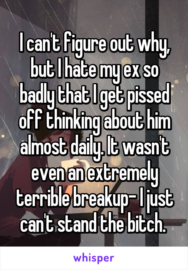 I can't figure out why, but I hate my ex so badly that I get pissed off thinking about him almost daily. It wasn't even an extremely terrible breakup- I just can't stand the bitch. 