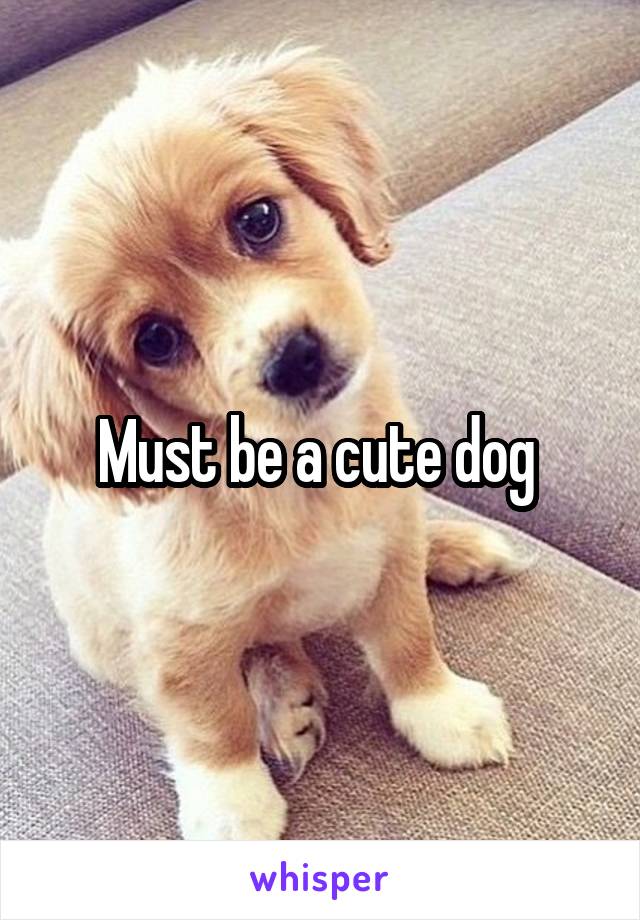 Must be a cute dog 