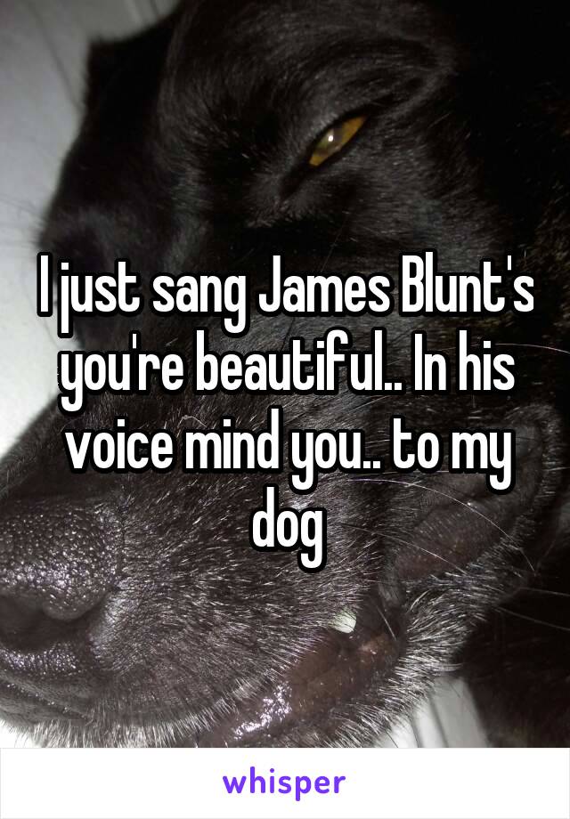 I just sang James Blunt's you're beautiful.. In his voice mind you.. to my dog