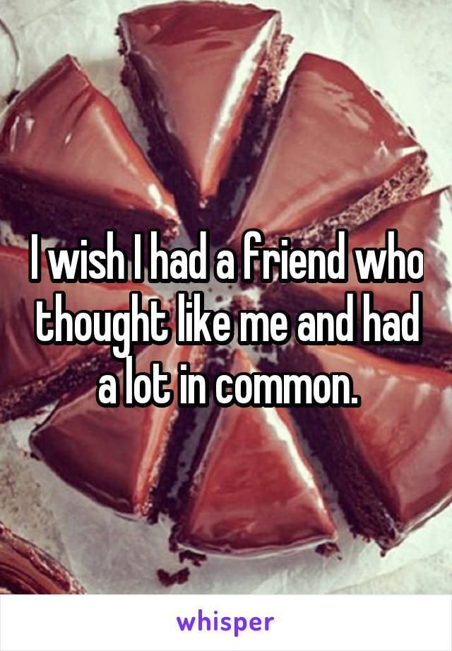 I wish I had a friend who thought like me and had a lot in common.