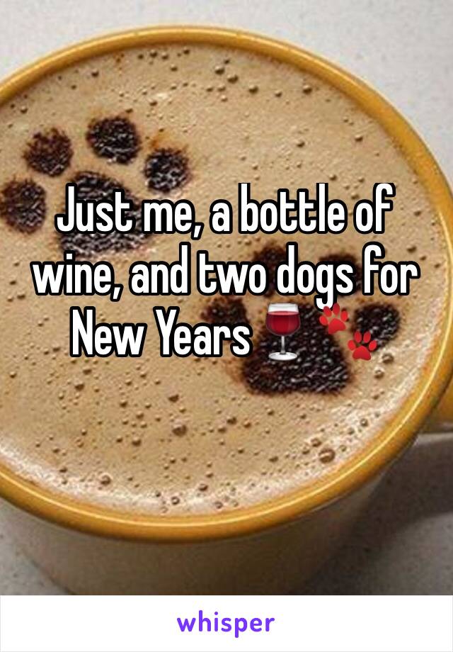 Just me, a bottle of wine, and two dogs for New Years🍷🐾