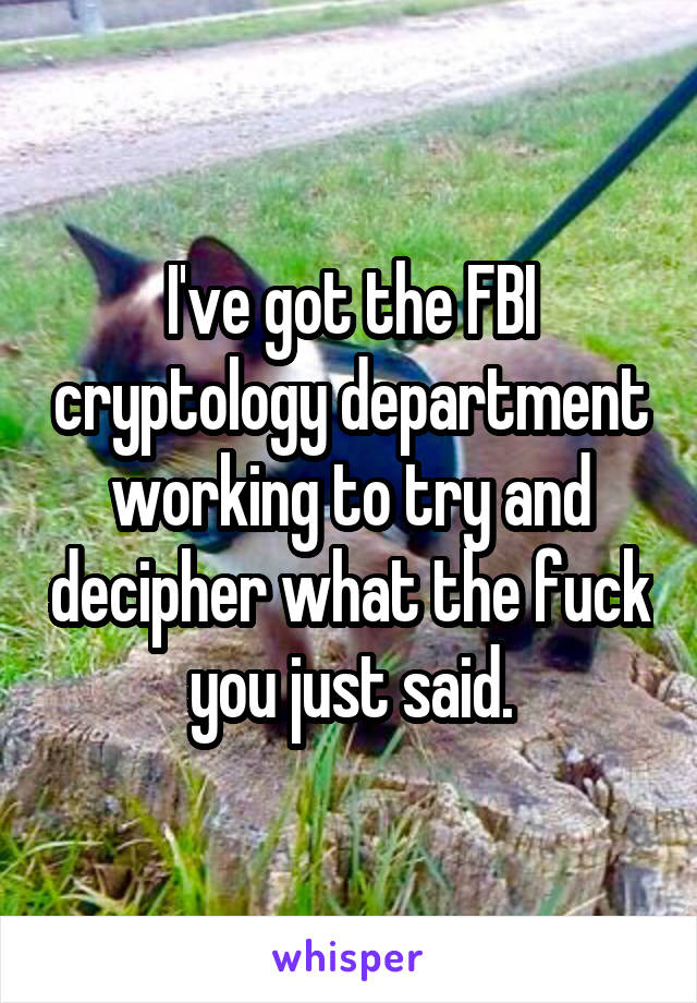 I've got the FBI cryptology department working to try and decipher what the fuck you just said.