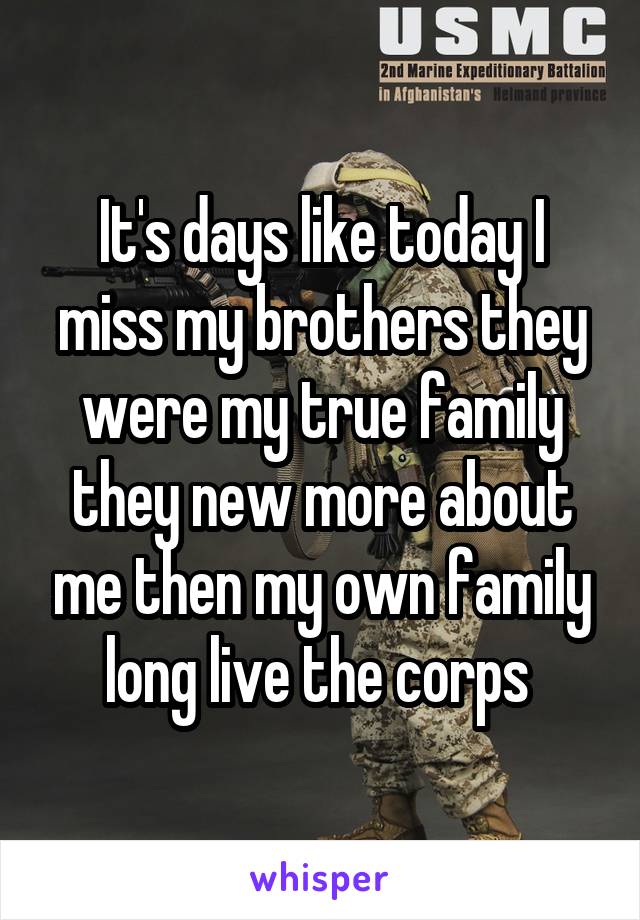 It's days like today I miss my brothers they were my true family they new more about me then my own family long live the corps 