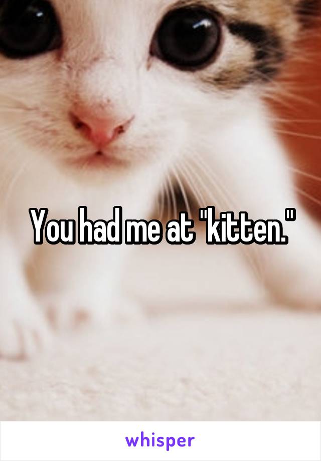 You had me at "kitten."