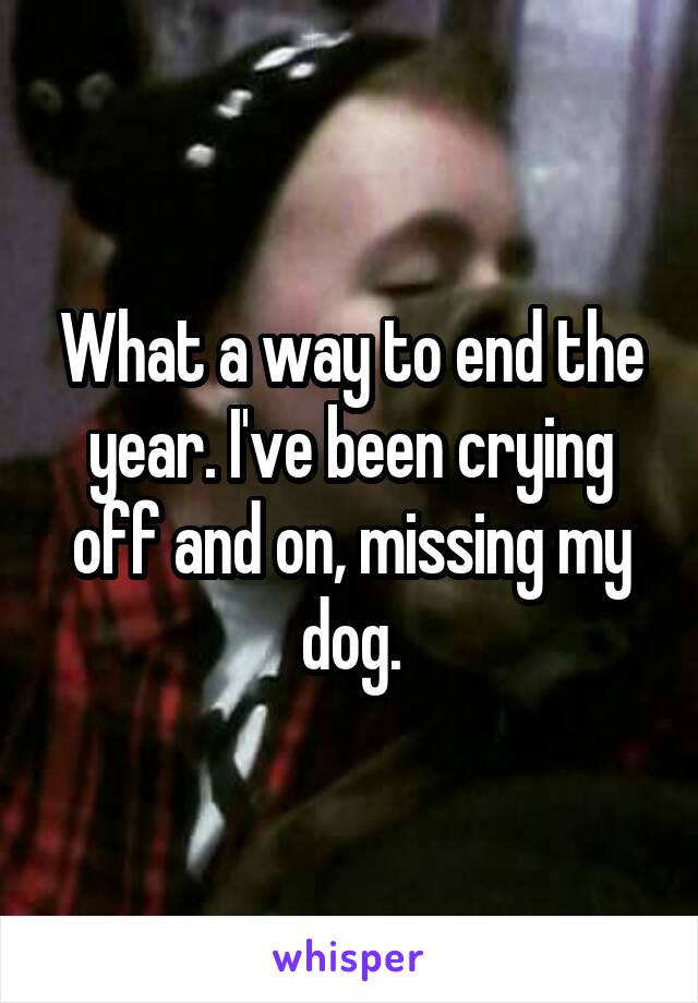 What a way to end the year. I've been crying off and on, missing my dog.