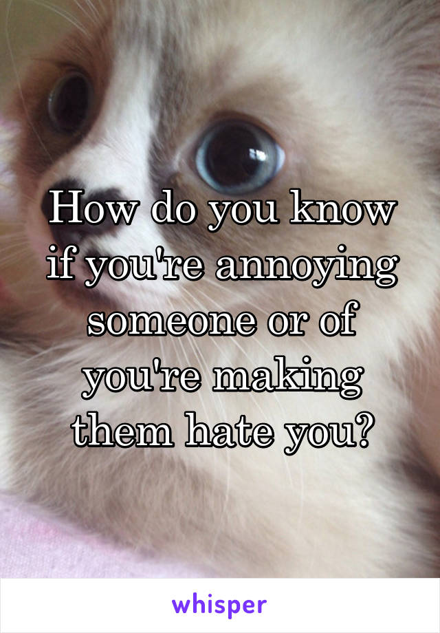 How do you know if you're annoying someone or of you're making them hate you?