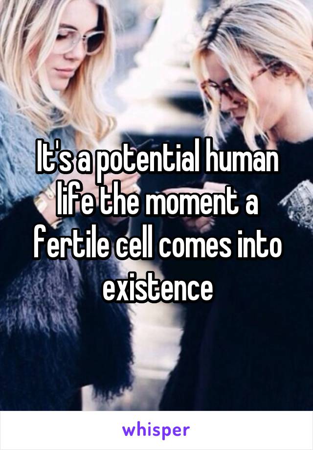 It's a potential human life the moment a fertile cell comes into existence