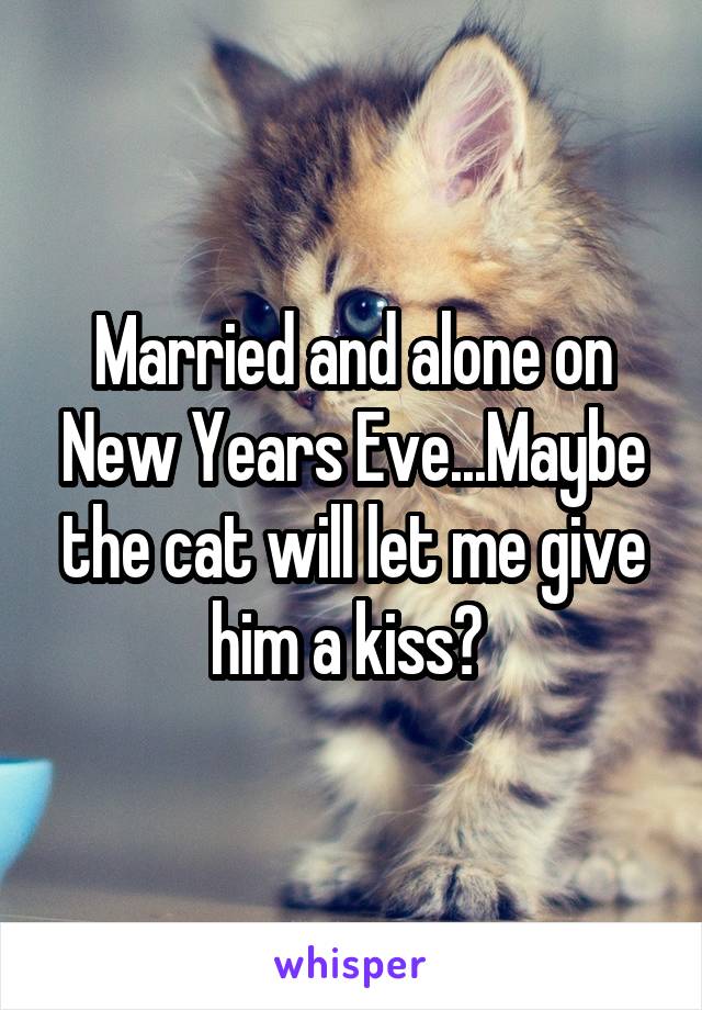 Married and alone on New Years Eve...Maybe the cat will let me give him a kiss? 