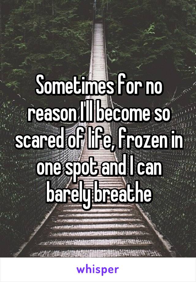 Sometimes for no reason I'll become so scared of life, frozen in one spot and I can barely breathe