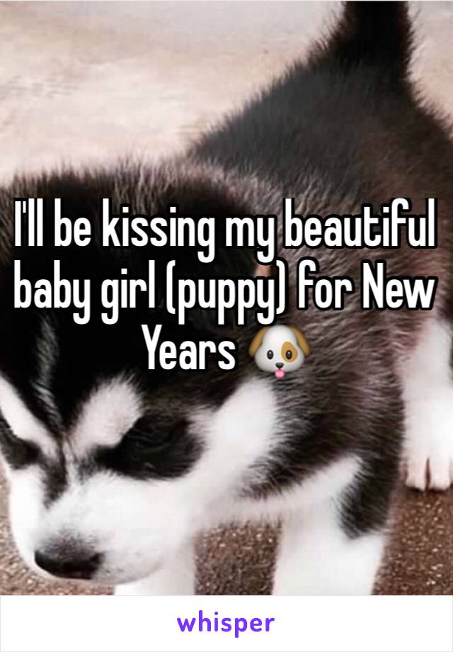 I'll be kissing my beautiful baby girl (puppy) for New Years 🐶