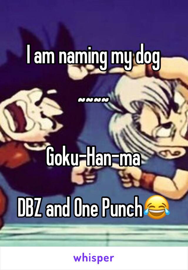 I am naming my dog

~~~~

Goku-Han-ma

DBZ and One Punch😂