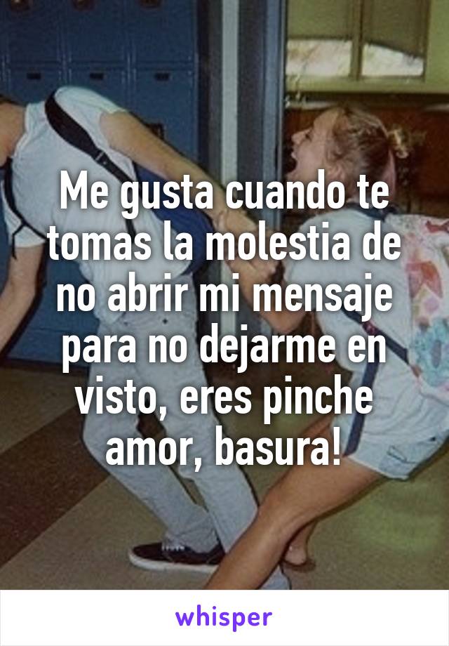 Me gusta cuando te tomas la molestia de no abrir mi mensaje para no dejarme en visto, eres pinche amor, basura!