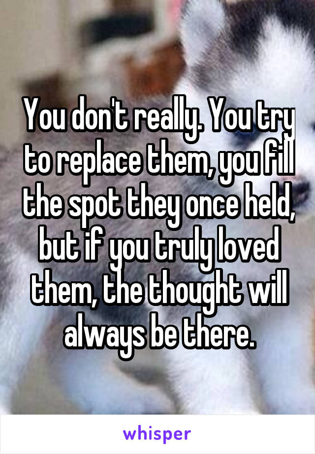 You don't really. You try to replace them, you fill the spot they once held, but if you truly loved them, the thought will always be there.