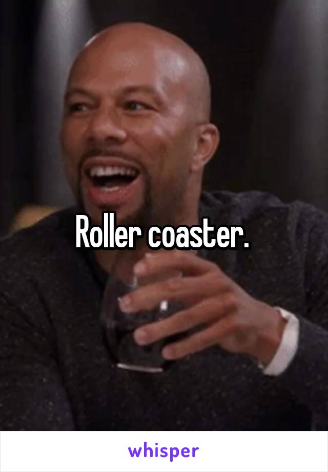 Roller coaster. 