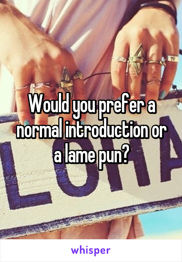 Would you prefer a normal introduction or a lame pun?