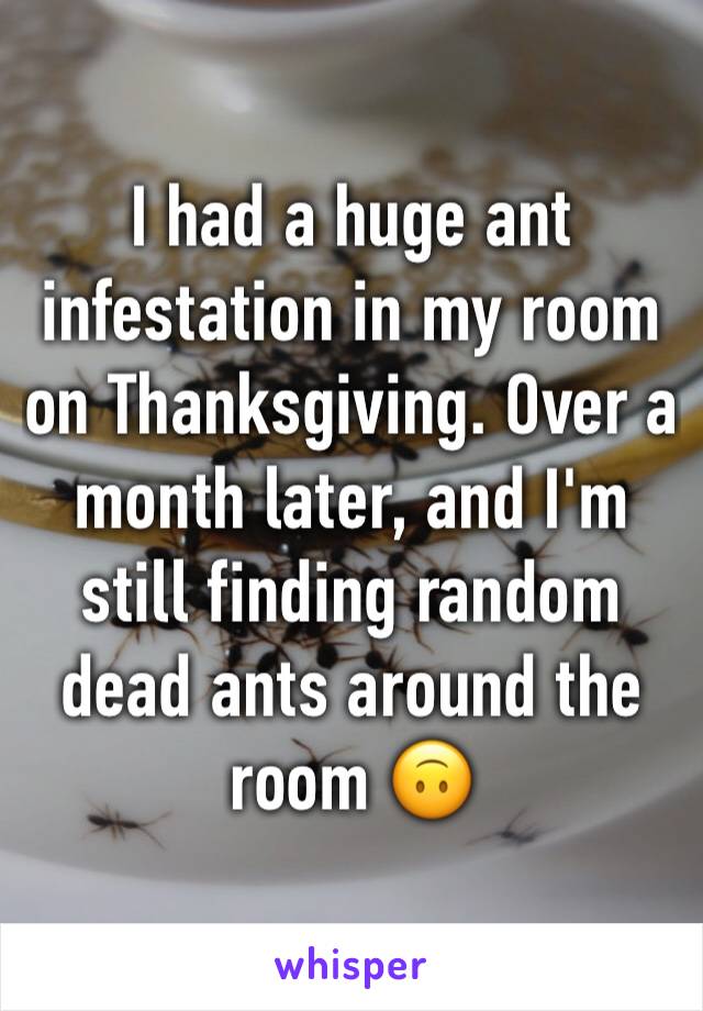 I had a huge ant infestation in my room on Thanksgiving. Over a month later, and I'm still finding random dead ants around the room 🙃