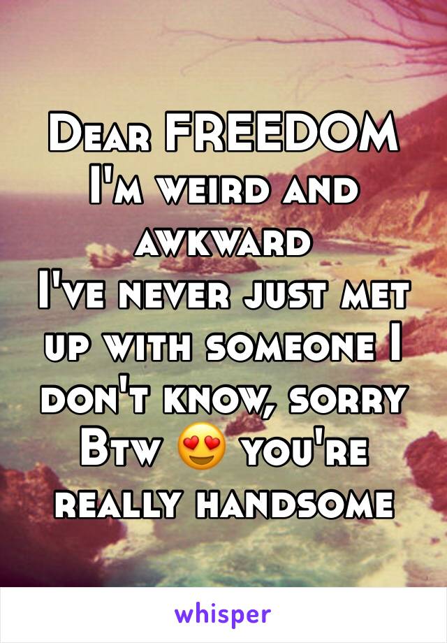 Dear FREEDOM 
I'm weird and awkward 
I've never just met up with someone I don't know, sorry
Btw 😍 you're really handsome 