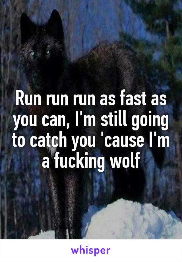 Run run run as fast as you can, I'm still going to catch you 'cause I'm a fucking wolf