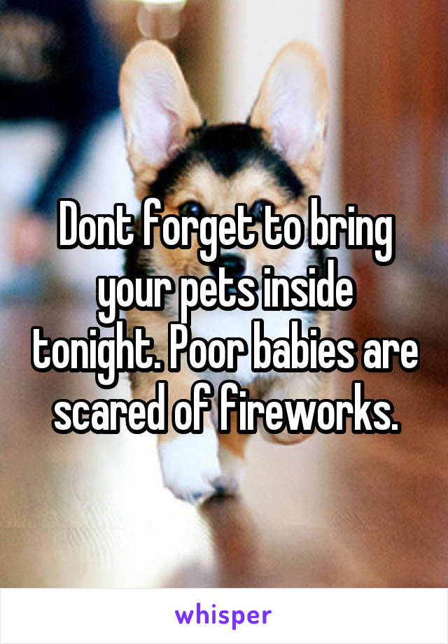 Dont forget to bring your pets inside tonight. Poor babies are scared of fireworks.