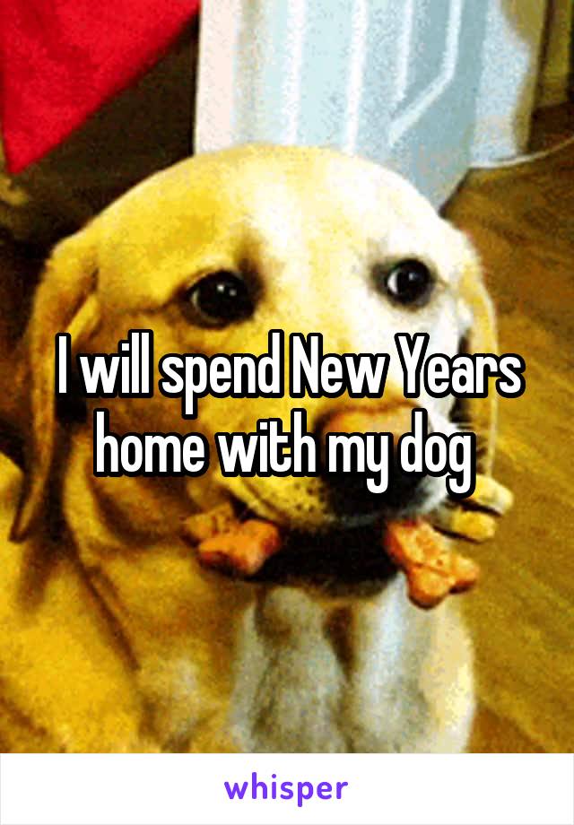 I will spend New Years home with my dog 