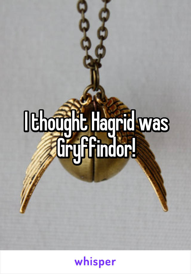 I thought Hagrid was Gryffindor!