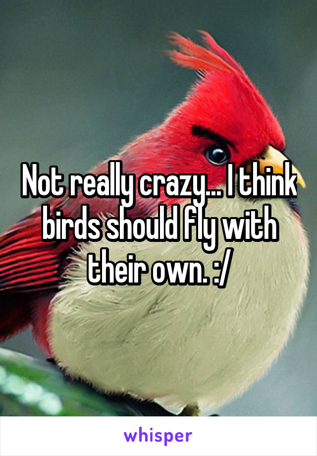 Not really crazy... I think birds should fly with their own. :/