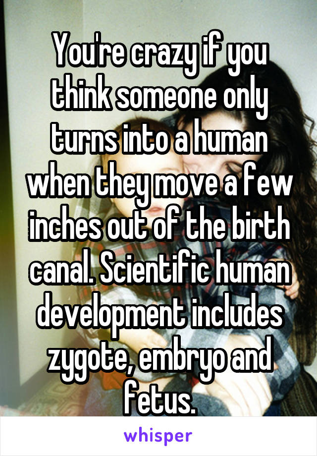 You're crazy if you think someone only turns into a human when they move a few inches out of the birth canal. Scientific human development includes zygote, embryo and fetus.