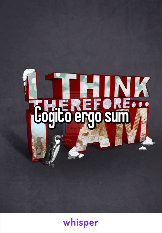 Cogito ergo sum