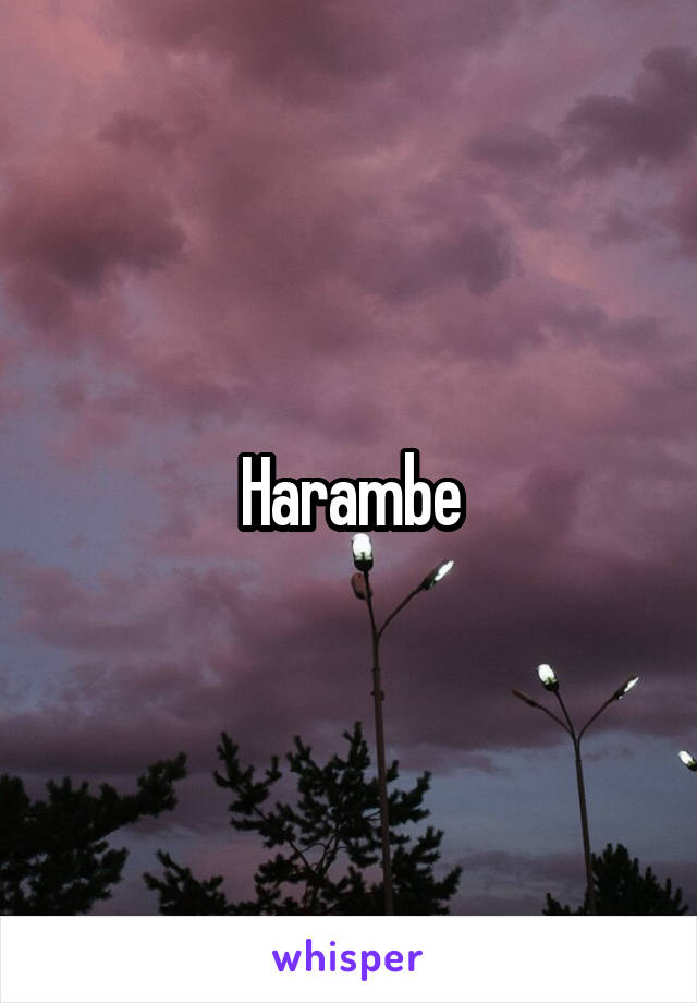 Harambe