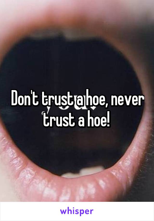 Don't trust a hoe, never trust a hoe! 