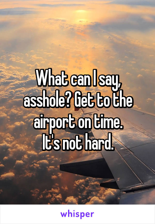 What can I say, asshole? Get to the airport on time.
It's not hard.