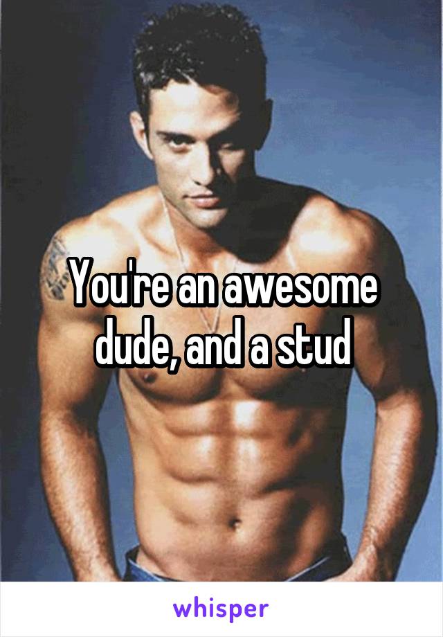 You're an awesome dude, and a stud