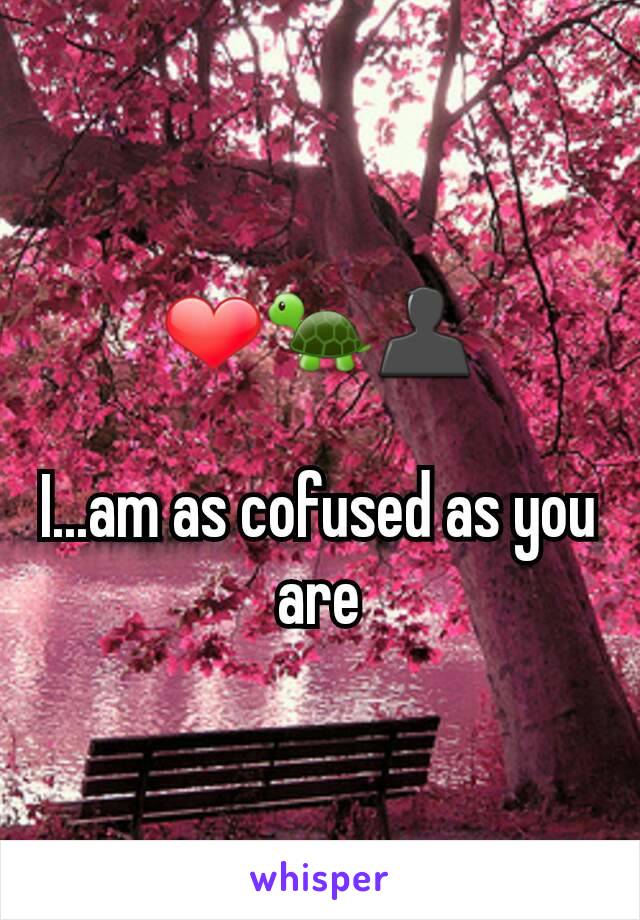 ❤🐢👤

I...am as cofused as you are