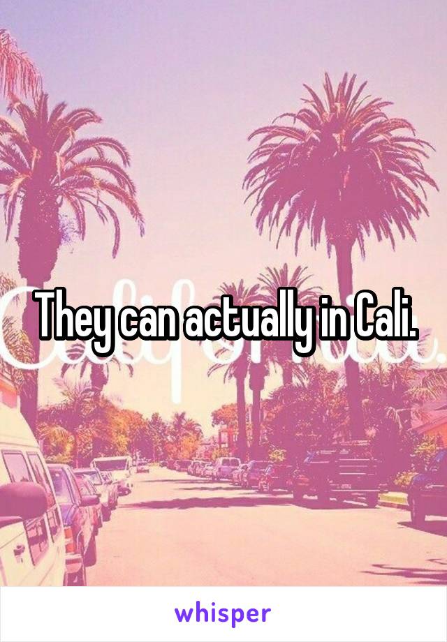 They can actually in Cali.