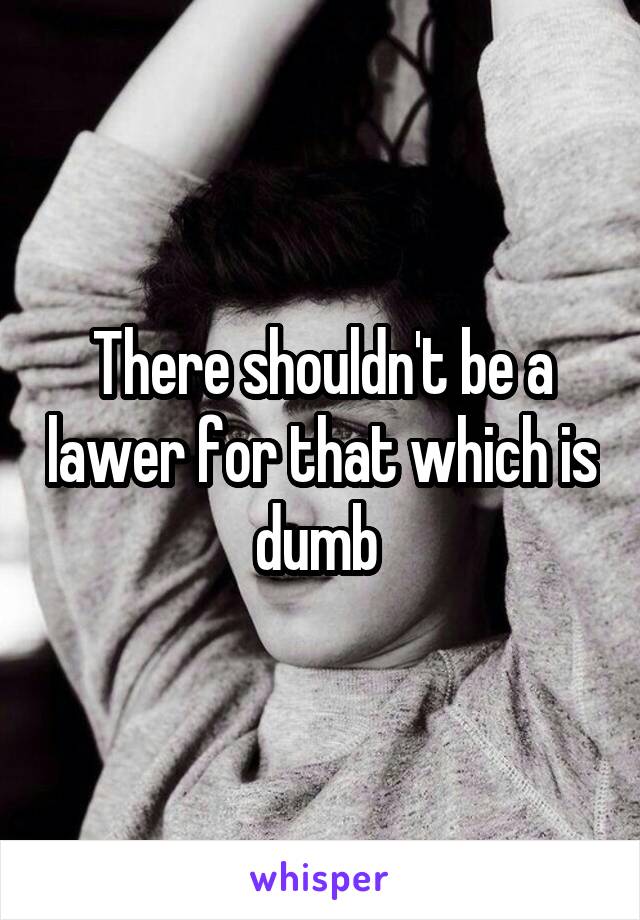 There shouldn't be a lawer for that which is dumb 