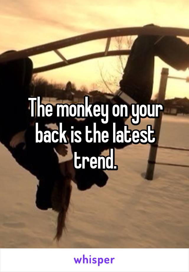 The monkey on your back is the latest trend.