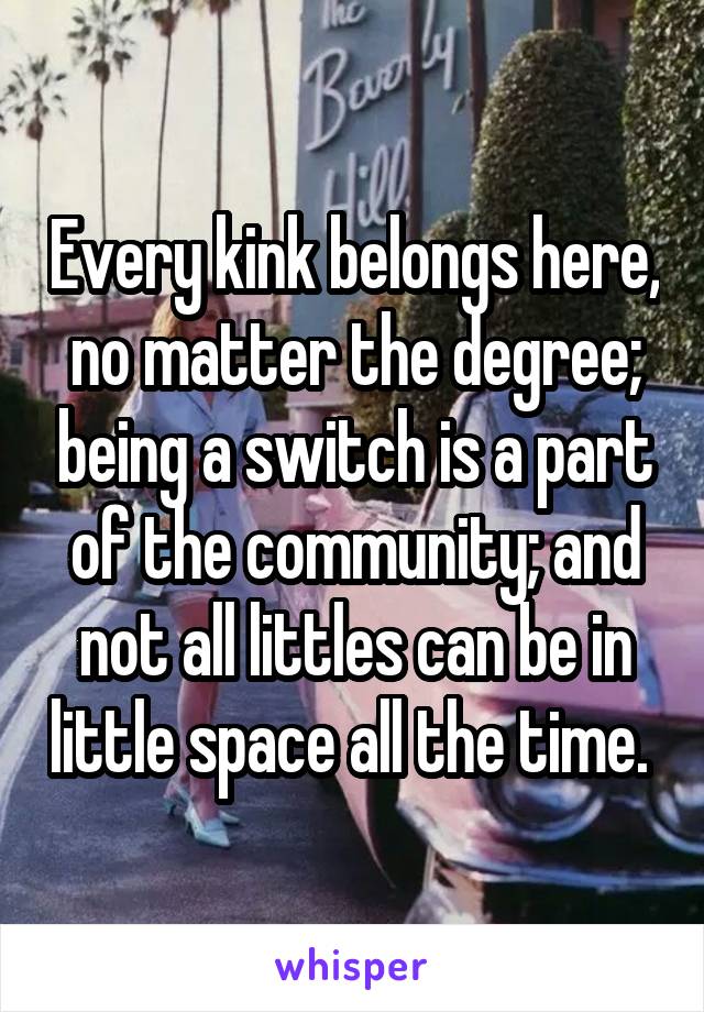 Every kink belongs here, no matter the degree; being a switch is a part of the community; and not all littles can be in little space all the time. 