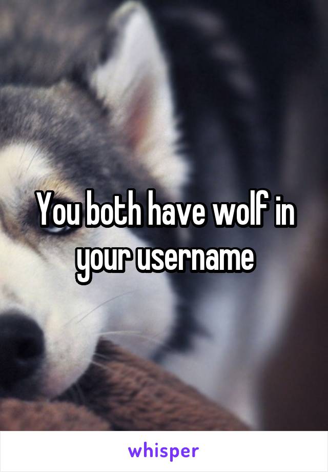 You both have wolf in your username