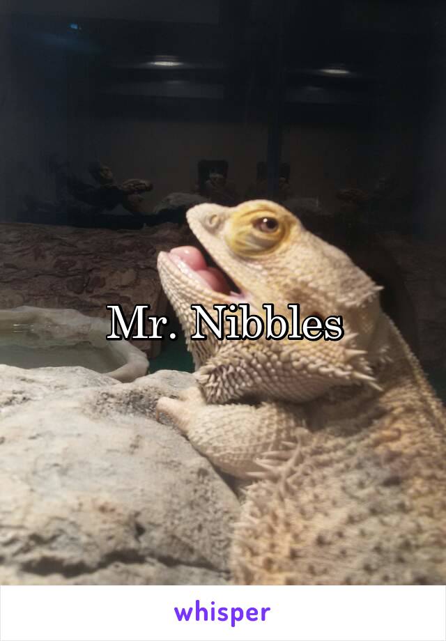 Mr. Nibbles