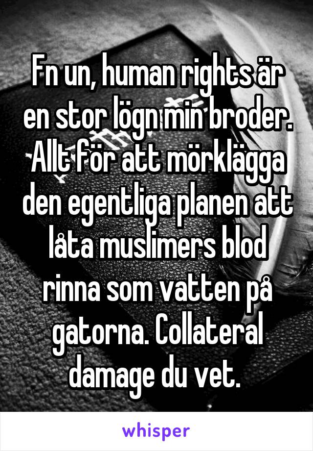 Fn un, human rights är en stor lögn min broder. Allt för att mörklägga den egentliga planen att låta muslimers blod rinna som vatten på gatorna. Collateral damage du vet. 