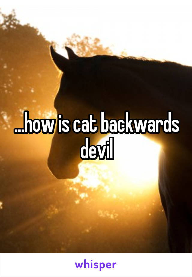 ...how is cat backwards devil