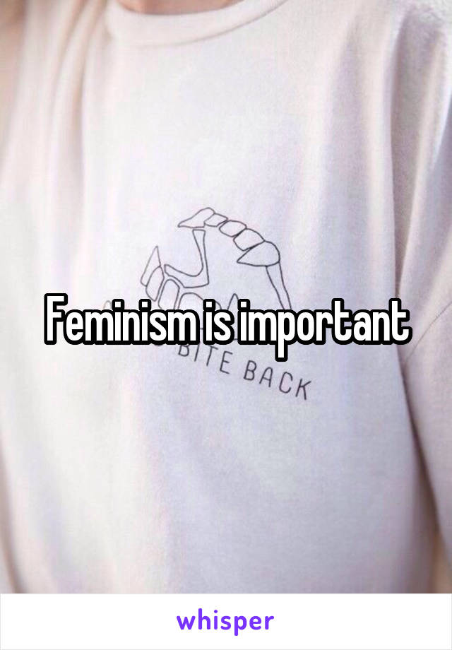 Feminism is important